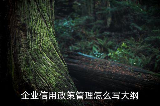 企业信用政策管理怎么写大纲