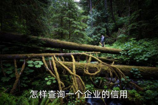 怎样查询一个企业的信用
