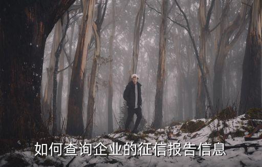 如何查询企业的征信报告信息