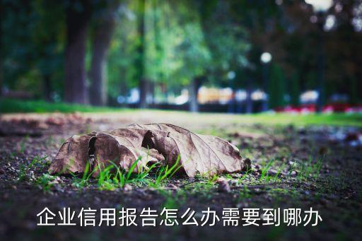 企业信用报告怎么办需要到哪办