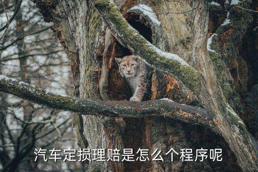 车辆定损流程，汽车定损理赔是怎么个程序呢