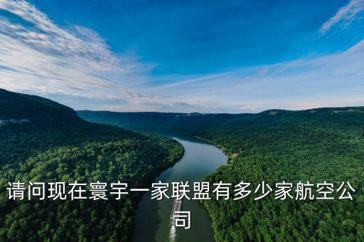 请问现在寰宇一家联盟有多少家航空公司