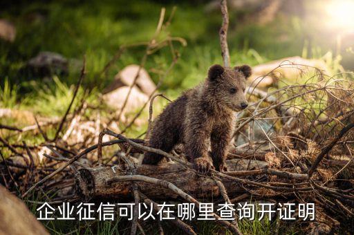 企业征信可以在哪里查询开证明