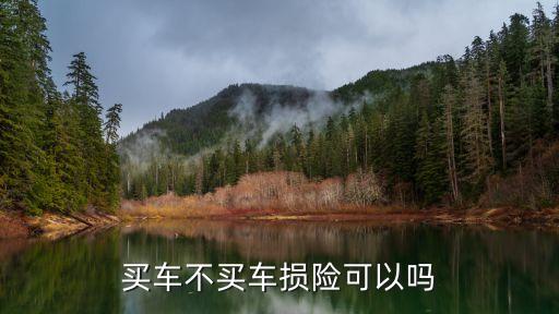 买车不买车损险可以吗