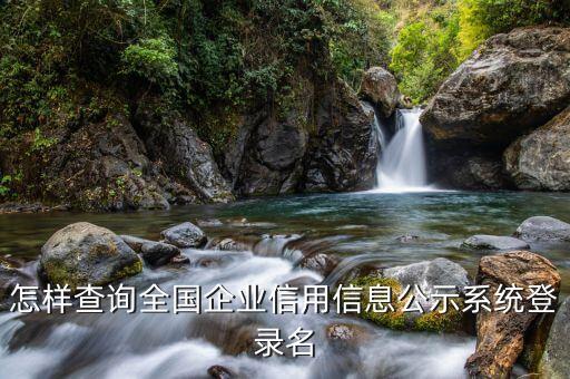怎样查询全国企业信用信息公示系统登录名
