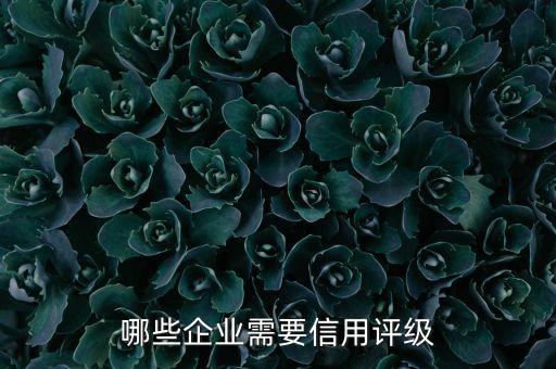 淮北企业信用评估有哪些，哪些企业需要信用评级