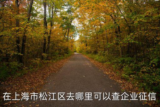 上海怎么查企业信用分，在上海市松江区去哪里可以查企业征信