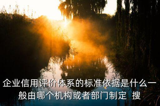 企业信用评价体系的标准依据是什么一般由哪个机构或者部门制定  搜