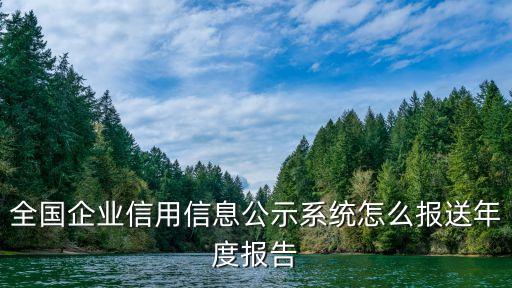 全国企业信用信息公示系统怎么报送年度报告
