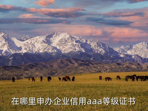 在哪里申办企业信用aaa等级证书