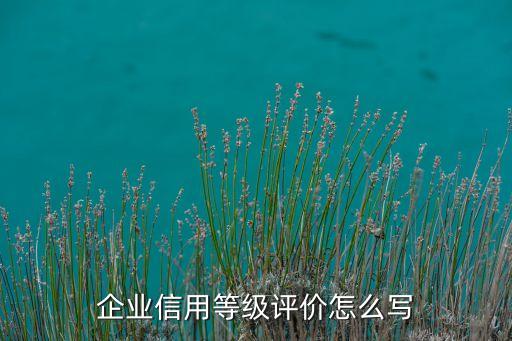 企业信用等级评价怎么写