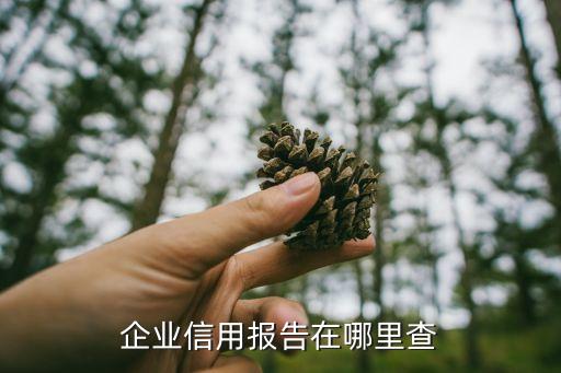 企业信用报告在哪里查