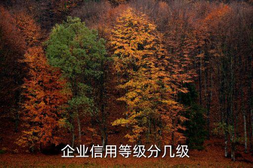 企业信用等级分几级
