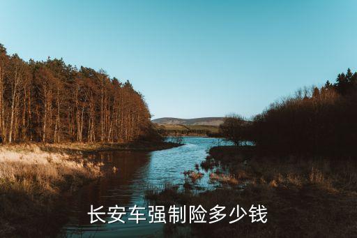长安车险，长安车保险一年是多少啊
