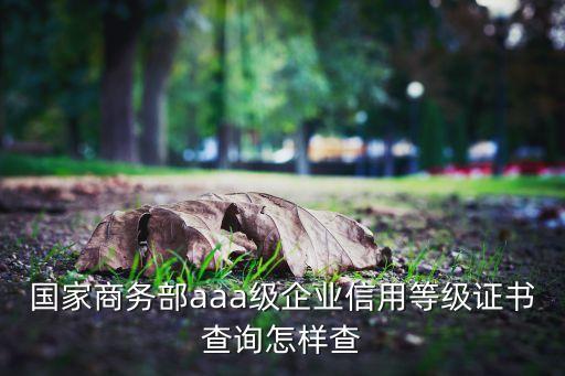 国家商务部aaa级企业信用等级证书查询怎样查