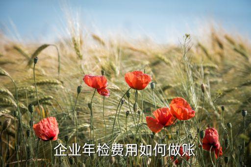 支付企业信用年审如何做账，公司年审的费用怎么做账