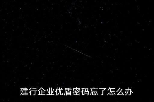 建行企业优盾密码忘了怎么办