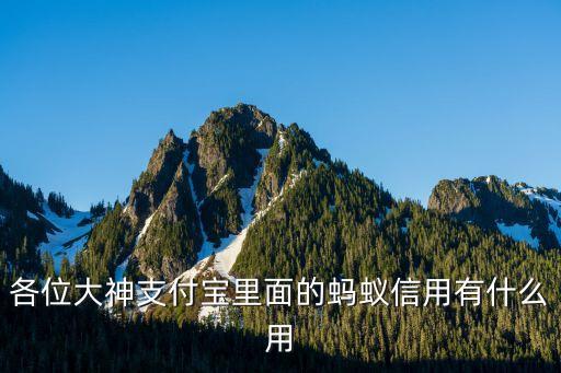 蚂蚁企业信用是什么意思，蚂蚁信用是怎么回事