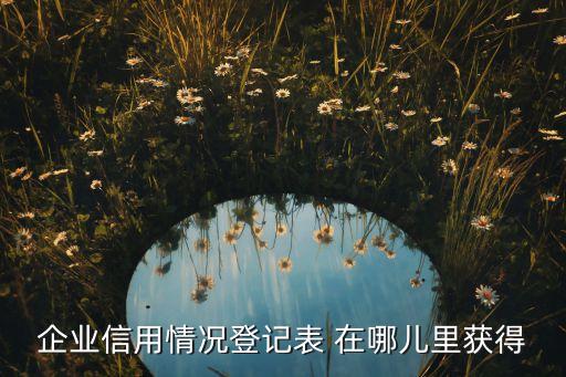 企业信用情况登记表 在哪儿里获得
