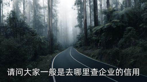 请问大家一般是去哪里查企业的信用