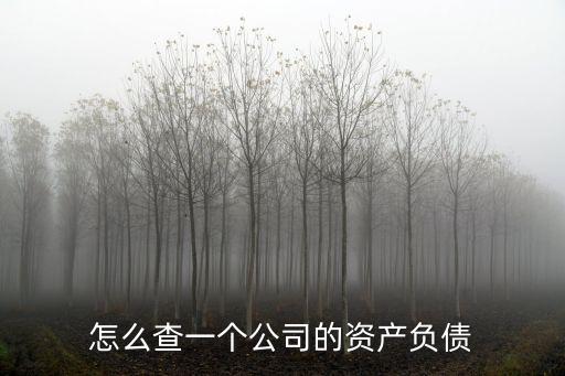 企业信用负债怎么查账目，怎么查一个公司的资产负债