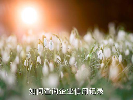 如何查询企业信用记录