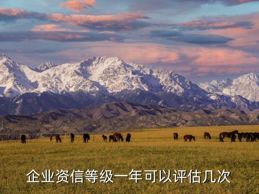 企业资信等级一年可以评估几次