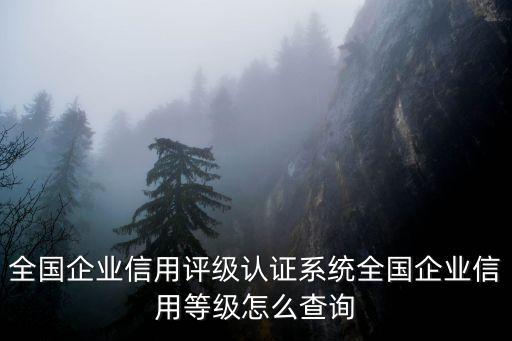 全国企业信用评级认证系统全国企业信用等级怎么查询