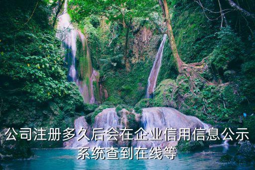 公司注册多久后会在企业信用信息公示系统查到在线等