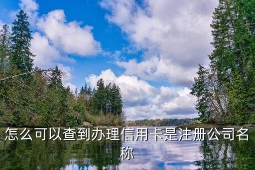 如何让查企业信用卡，企业版信用卡怎么查