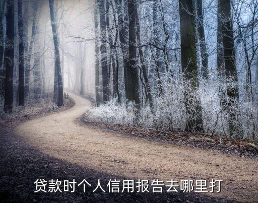 贷款时个人信用报告去哪里打
