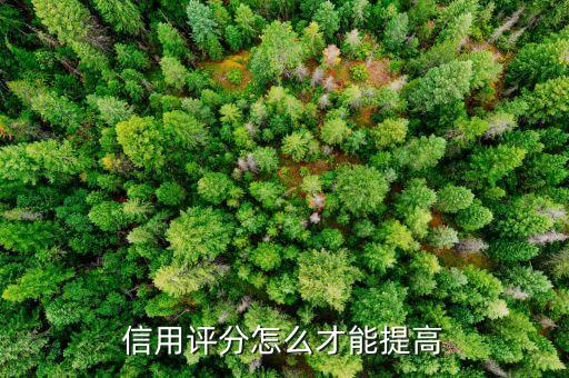 如何提高企业信用分，信用评分怎么才能提高