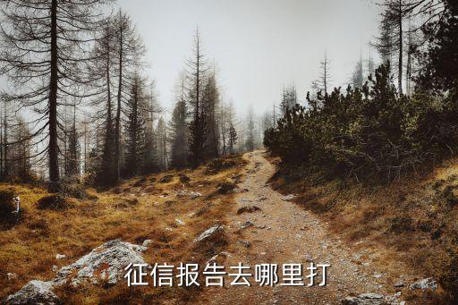 征信报告去哪里打