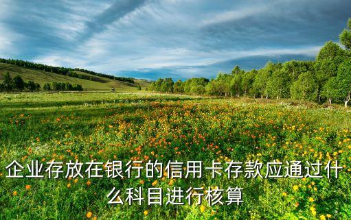 企业存放在银行的信用卡存款应通过什么科目进行核算