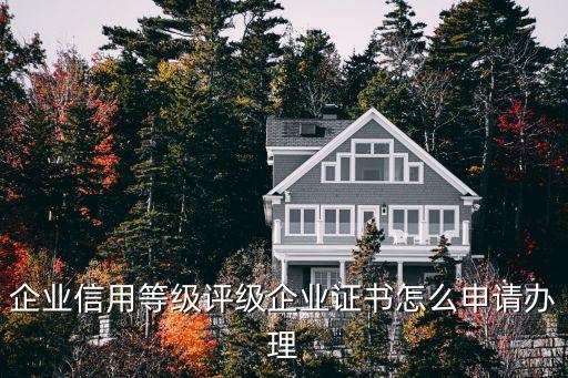 企业信用等级评级企业证书怎么申请办理