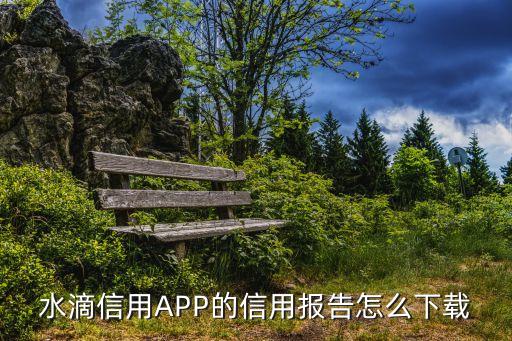 水滴信用APP的信用报告怎么下载