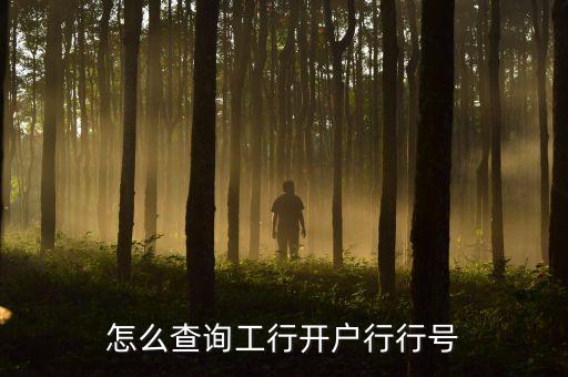 怎么查询工行开户行行号