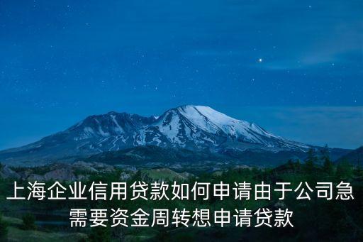 上海企业信用贷款如何申请由于公司急需要资金周转想申请贷款