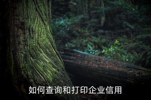 微信哪里可以查企业信用，怎样查询一个企业的信用