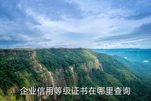 企业信用等级得分怎么查，企业等级如何查看