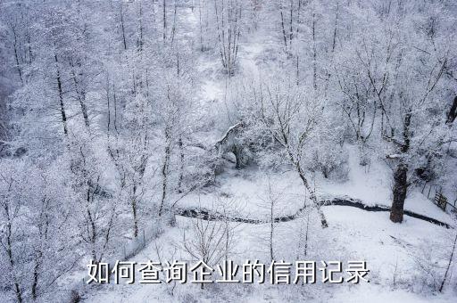 如何查询企业的信用记录