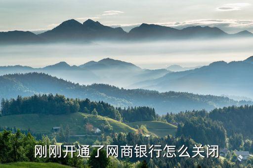 网商银行如何取消企业信用，如何取消网商银行