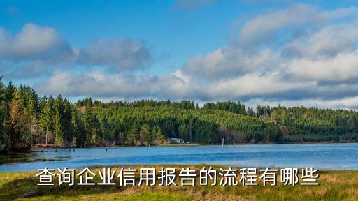 查询企业信用报告的流程有哪些