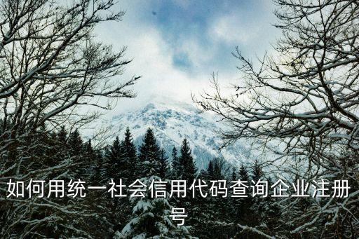 如何用统一社会信用代码查询企业注册号