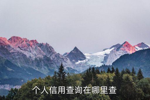 个人信用查询在哪里查