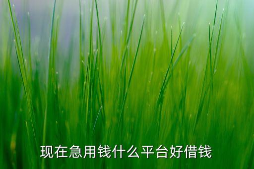 现在急用钱什么平台好借钱