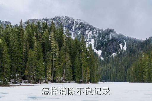怎样消除不良记录