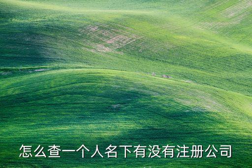 怎么查一个人名下有没有注册公司