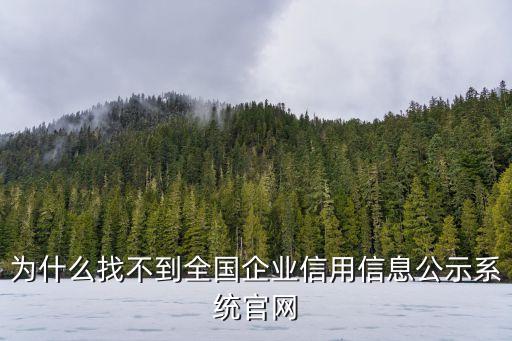 为什么找不到全国企业信用信息公示系统官网