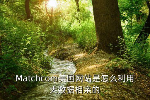 Matchcom美国网站是怎么利用大数据相亲的